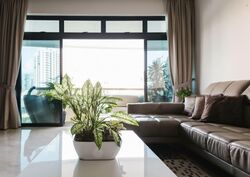 Valley Park (D10), Condominium #566330071